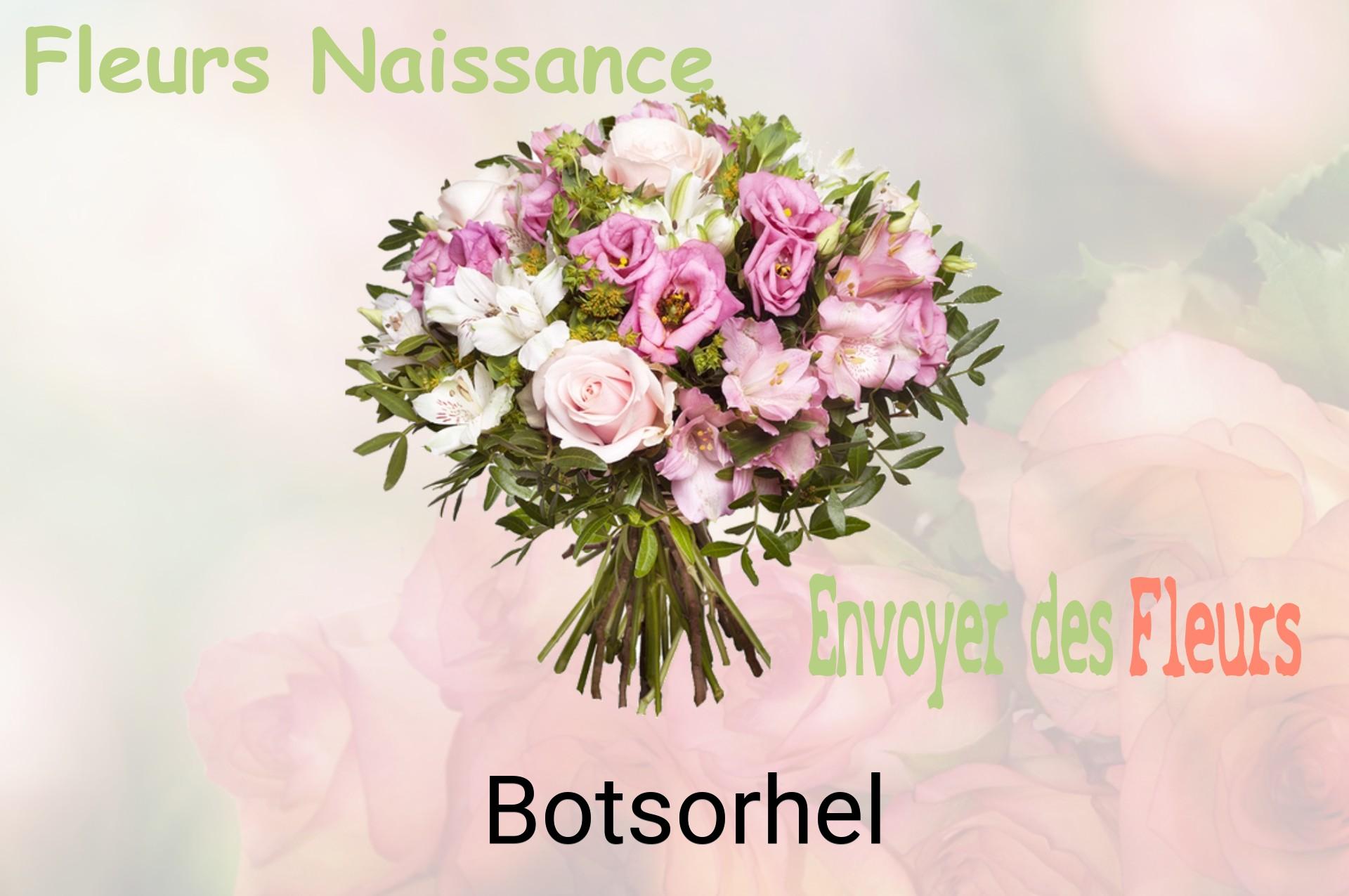 Bouquet de fleurs de naissance livré à Botsorhel